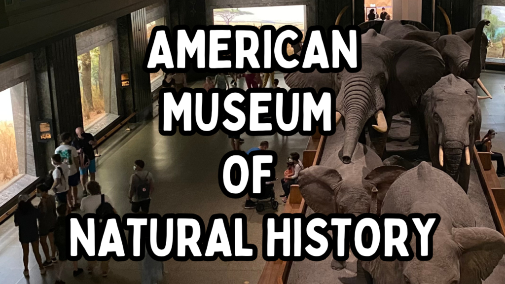 NYC FACT EXCHANGE THUMBNAIL