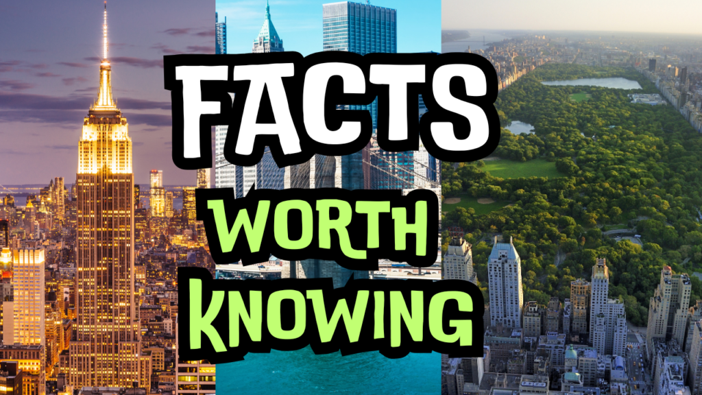 NYC FACT EXCHANGE THUMBNAIL